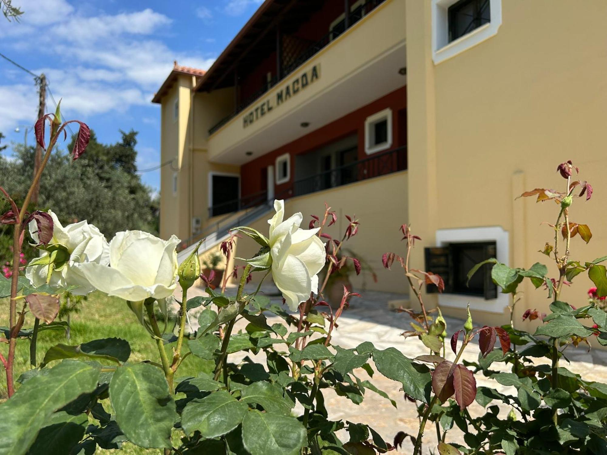 Magda Hotel Apartments Epidaurus Exterior photo